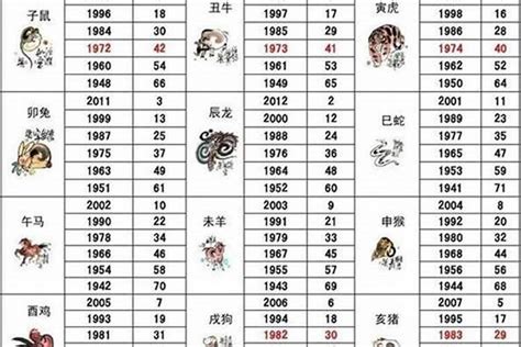 1990 属|1990年属什么生肖